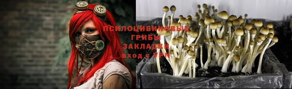 синтетический гашиш Алексеевка
