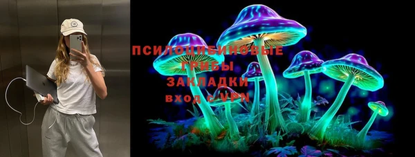дживик Алексин