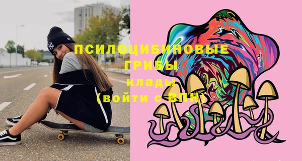 дживик Алексин