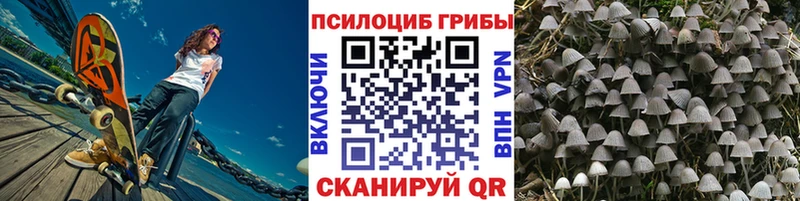 Псилоцибиновые грибы мицелий  Купить  Лагань 